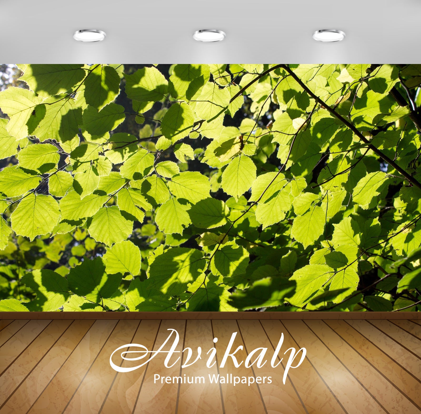 Avikalp Exclusive Awi5574 Green Linden Leaves Nature Full HD Wallpapers for Living room, Hall, Kids