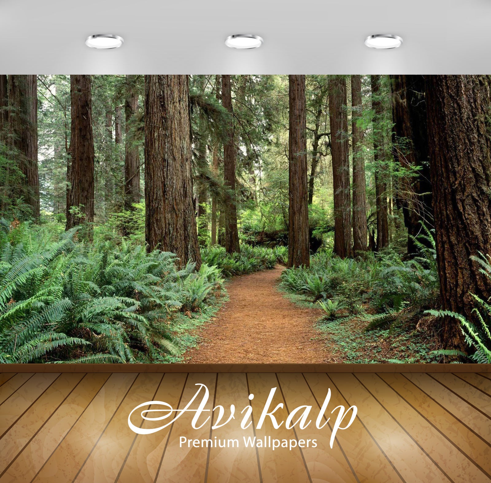 Avikalp Exclusive Awi5865 Olympic National Park Nature Full HD Wallpapers for Living room, Hall, Kid