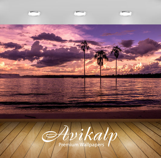 Avikalp Exclusive Awi5879 Palm Trees In The Water Nature Full HD Wallpapers for Living room, Hall, K