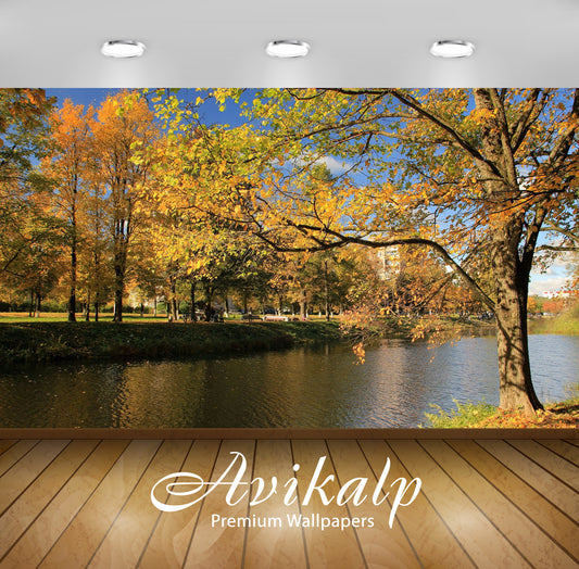 Avikalp Exclusive Awi5883 Park On The River Side Nature Full HD Wallpapers for Living room, Hall, Ki