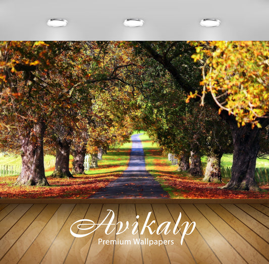 Avikalp Exclusive Awi5886 Path Between The Trees Nature Full HD Wallpapers for Living room, Hall, Ki