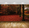 Avikalp Exclusive Awi5887 Path In Autumn Forest Nature Full HD Wallpapers for Living room, Hall, Kid