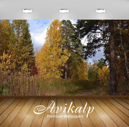 Avikalp Exclusive Awi5888 Path In The Autumn Forest Nature Full HD Wallpapers for Living room, Hall,