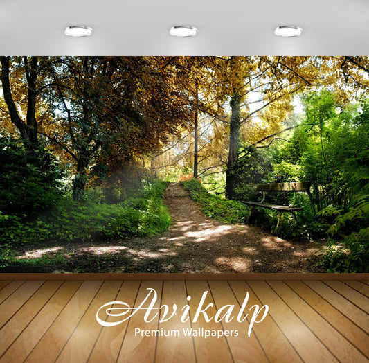 Avikalp Exclusive Awi5891 Path In The Woods Nature Full HD Wallpapers for Living room, Hall, Kids Ro
