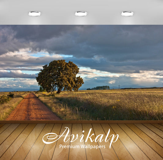 Avikalp Exclusive Awi5893 Path On An Autumn Field Nature Full HD Wallpapers for Living room, Hall, K
