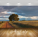 Avikalp Exclusive Awi5893 Path On An Autumn Field Nature Full HD Wallpapers for Living room, Hall, K