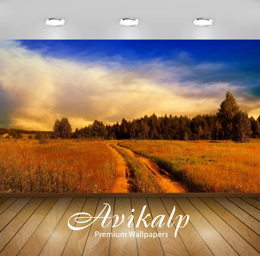 Avikalp Exclusive Awi5894 Path On The Rusty Field Towards The Forest Nature Full HD Wallpapers for L