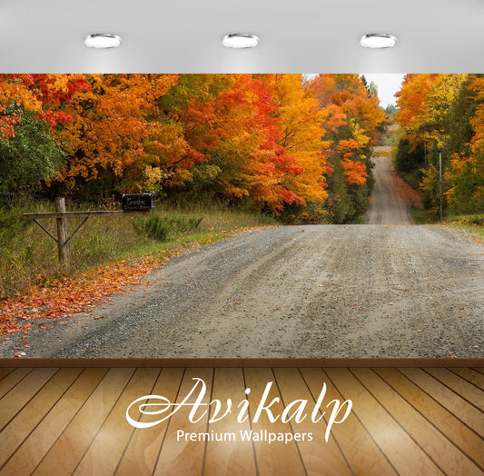 Avikalp Exclusive Awi5895 Path Through Autumn Forest Nature Full HD Wallpapers for Living room, Hall