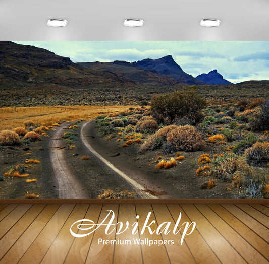 Avikalp Exclusive Awi5897 Path Through Desert Nature Full HD Wallpapers for Living room, Hall, Kids