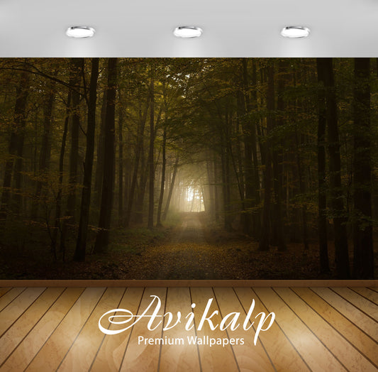 Avikalp Exclusive Awi5900 Path Through The Foggy Forest Nature Full HD Wallpapers for Living room, H