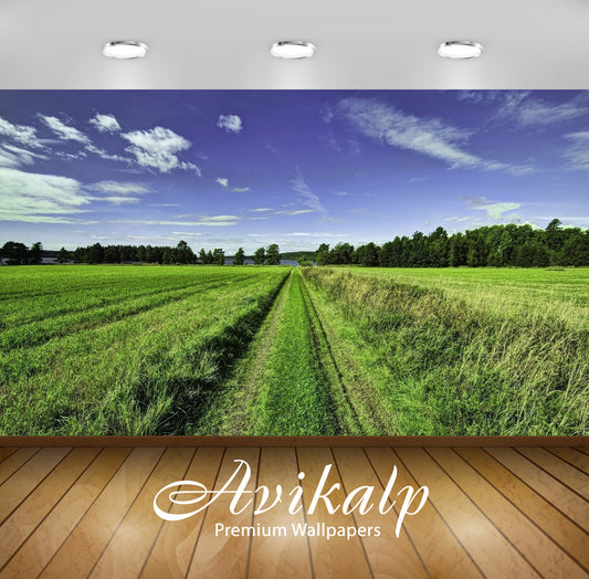 Avikalp Exclusive Awi5901 Path Through The Grass To The Lake Nature Full HD Wallpapers for Living ro