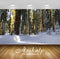 Avikalp Exclusive Awi5902 Path Through The Snowy Forest Nature Full HD Wallpapers for Living room, H