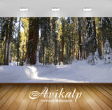 Avikalp Exclusive Awi5902 Path Through The Snowy Forest Nature Full HD Wallpapers for Living room, H