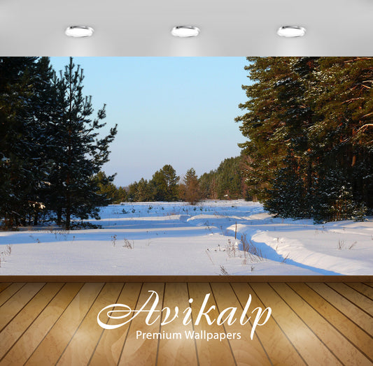 Avikalp Exclusive Awi5903 Path Through The Thick Snow Nature Full HD Wallpapers for Living room, Hal