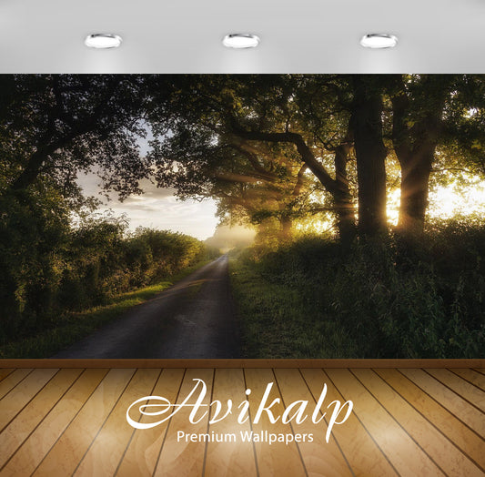 Avikalp Exclusive Awi5906 Path Towards The Fog Nature Full HD Wallpapers for Living room, Hall, Kids