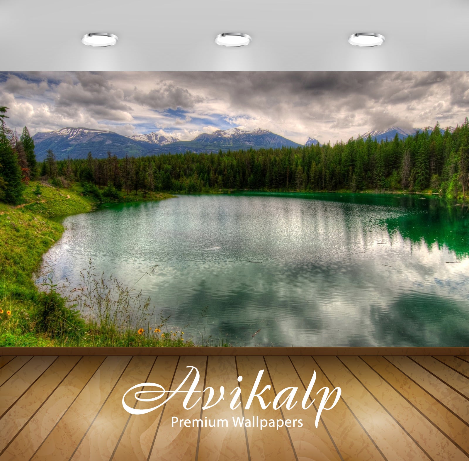 Avikalp Exclusive Awi5919 Pine Forest On The Lake Side On A Cloudy Day Nature Full HD Wallpapers for