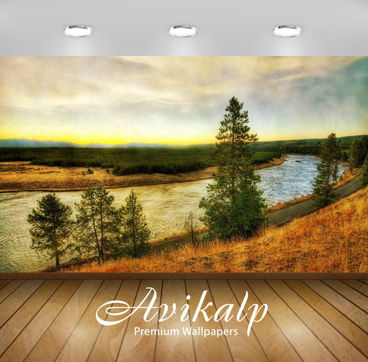 Avikalp Exclusive Awi5920 Pine Forest On Waterside Nature Full HD Wallpapers for Living room, Hall,