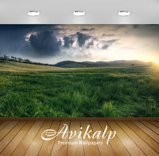 Avikalp Exclusive Awi5952 Rain At Sunset Nature Full HD Wallpapers for Living room, Hall, Kids Room,
