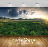 Avikalp Exclusive Awi5952 Rain At Sunset Nature Full HD Wallpapers for Living room, Hall, Kids Room,