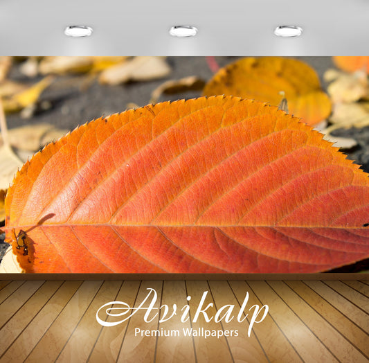 Avikalp Exclusive Awi5970 Red Leaf Nature Full HD Wallpapers for Living room, Hall, Kids Room, Kitch