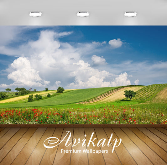 Avikalp Exclusive Awi5977 Red Poppies In The Green Field Nature Full HD Wallpapers for Living room,