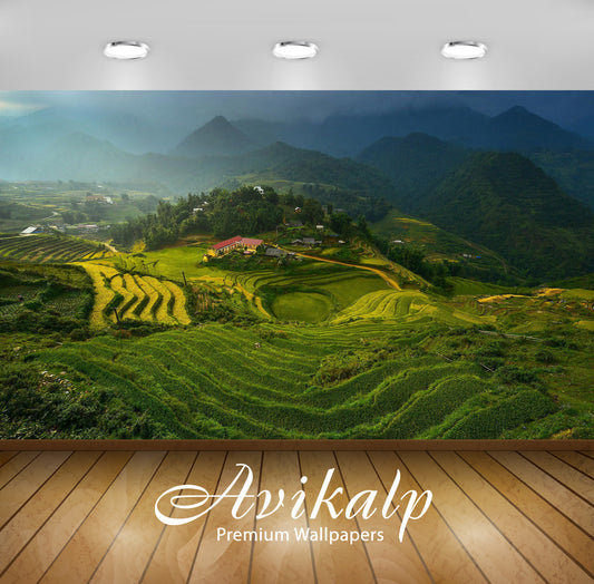 Avikalp Exclusive Awi5986 Rice Terraces In Vietnam Nature Full HD Wallpapers for Living room, Hall,