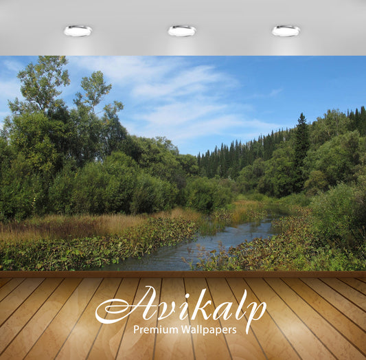 Avikalp Exclusive Awi6007 River Path Through The Wild Nature Nature Full HD Wallpapers for Living ro
