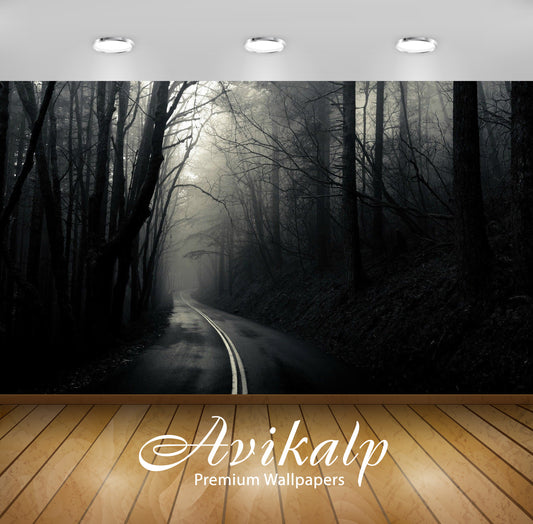 Avikalp Exclusive Awi6022 Road Through The Dark Woods Nature Full HD Wallpapers for Living room, Hal