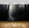 Avikalp Exclusive Awi6022 Road Through The Dark Woods Nature Full HD Wallpapers for Living room, Hal