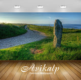 Avikalp Exclusive Awi6041 Rock In The Grass Near The Path Nature Full HD Wallpapers for Living room,