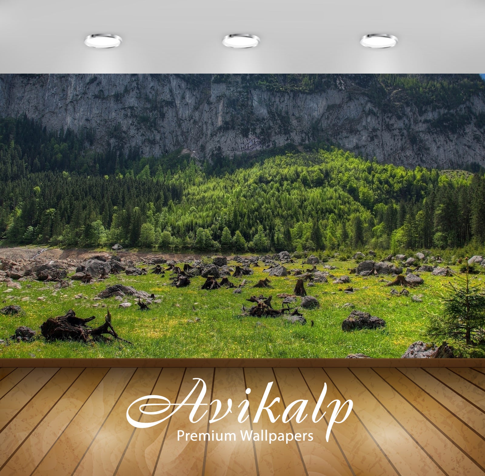 Avikalp Exclusive Awi6073 Rocky Mountain Rising From Behind The Green Forest Nature Full HD Wallpape