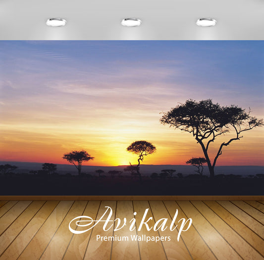 Avikalp Exclusive Awi6158 Safari Sunset Nature Full HD Wallpapers for Living room, Hall, Kids Room,
