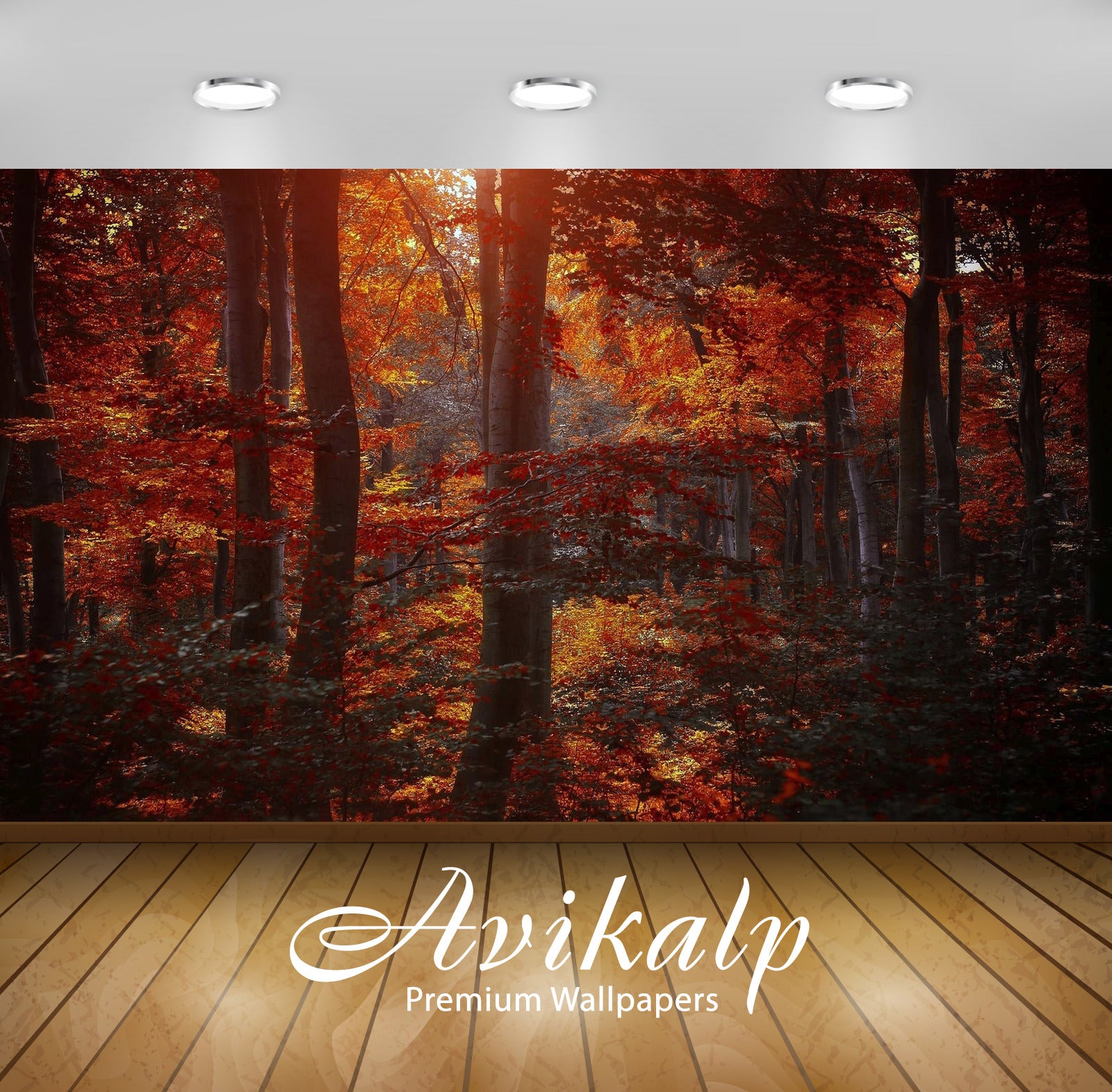 Avikalp Exclusive Awi6171 Shades Of Autumn In The Forest Nature Full HD Wallpapers for Living room,