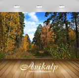 Avikalp Exclusive Awi6172 Shades Of Autumn In The Forest Nature Full HD Wallpapers for Living room,