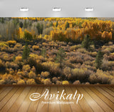 Avikalp Exclusive Awi6173 Shades Of Autumn In The Forest Nature Full HD Wallpapers for Living room,