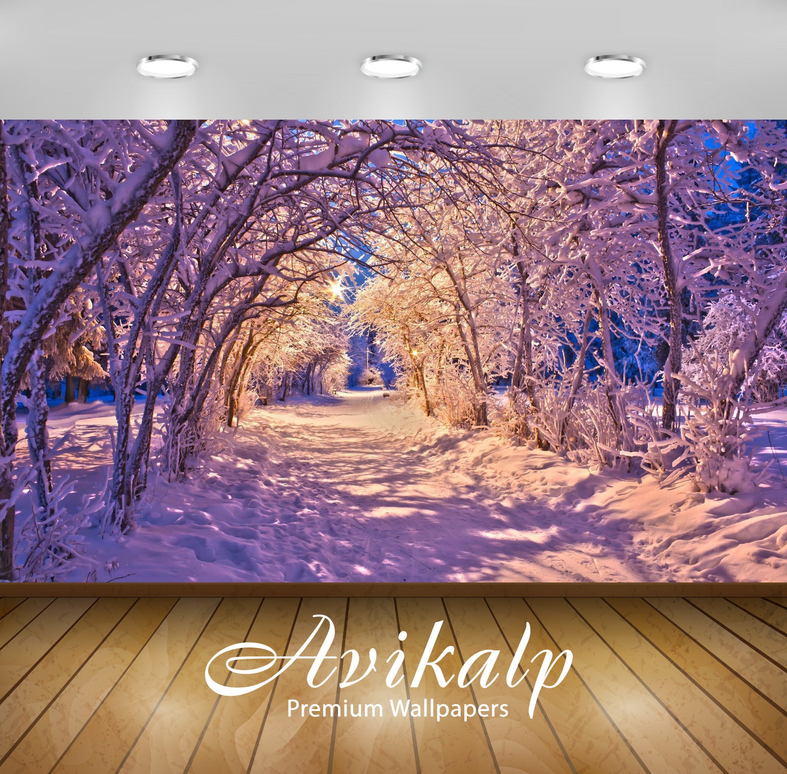 Avikalp Exclusive Awi6322 Snowy Tree Tunnel On The Path Through The Park Nature Full HD Wallpapers f