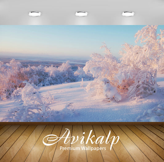Avikalp Exclusive Awi6323 Snowy Trees Nature Full HD Wallpapers for Living room, Hall, Kids Room, Ki