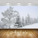 Avikalp Exclusive Awi6324 Snowy Trees Nature Full HD Wallpapers for Living room, Hall, Kids Room, Ki