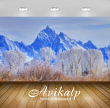 Avikalp Exclusive Awi6331 Snowy Trees In Front Of The Rocky Mountain Peaks Nature Full HD Wallpapers