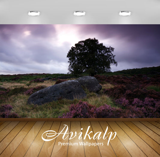 Avikalp Exclusive Awi6342 Spring Field Nature Full HD Wallpapers for Living room, Hall, Kids Room, K