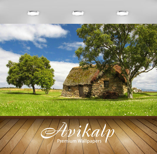 Avikalp Exclusive Awi6349 Stanley Park Nature Full HD Wallpapers for Living room, Hall, Kids Room, K