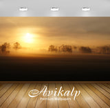 Avikalp Exclusive Awi6386 Sun Above The Foggy Trees Nature Full HD Wallpapers for Living room, Hall,
