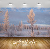 Avikalp Exclusive Awi6396 Sun Light On Top Of The Snowy Trees Nature Full HD Wallpapers for Living r