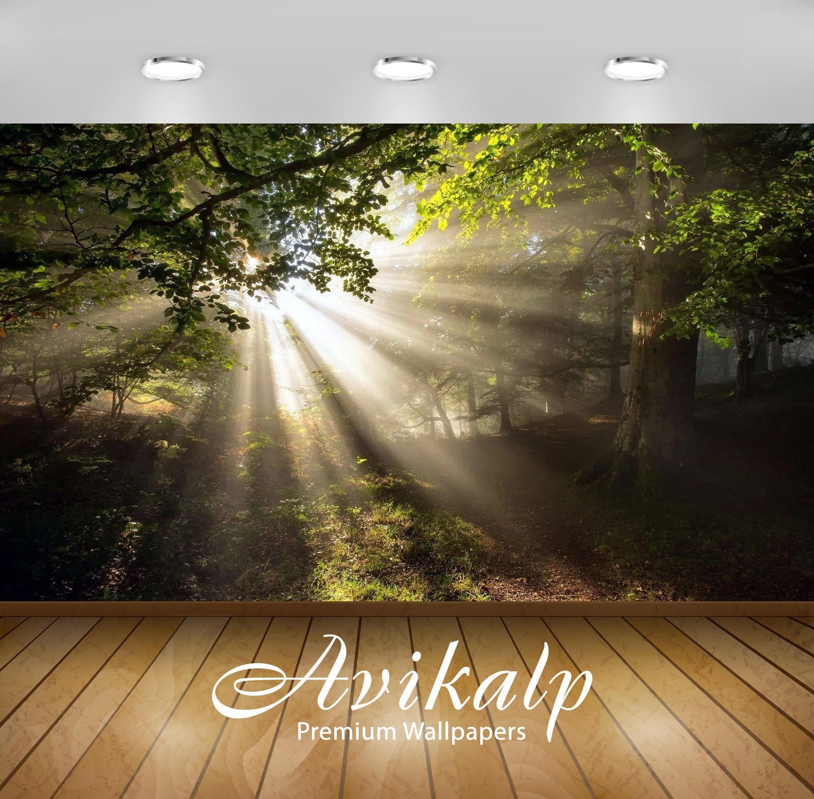 Avikalp Exclusive Awi6397 Sun Light Piercing Through A Dark Forest Nature Full HD Wallpapers for Liv