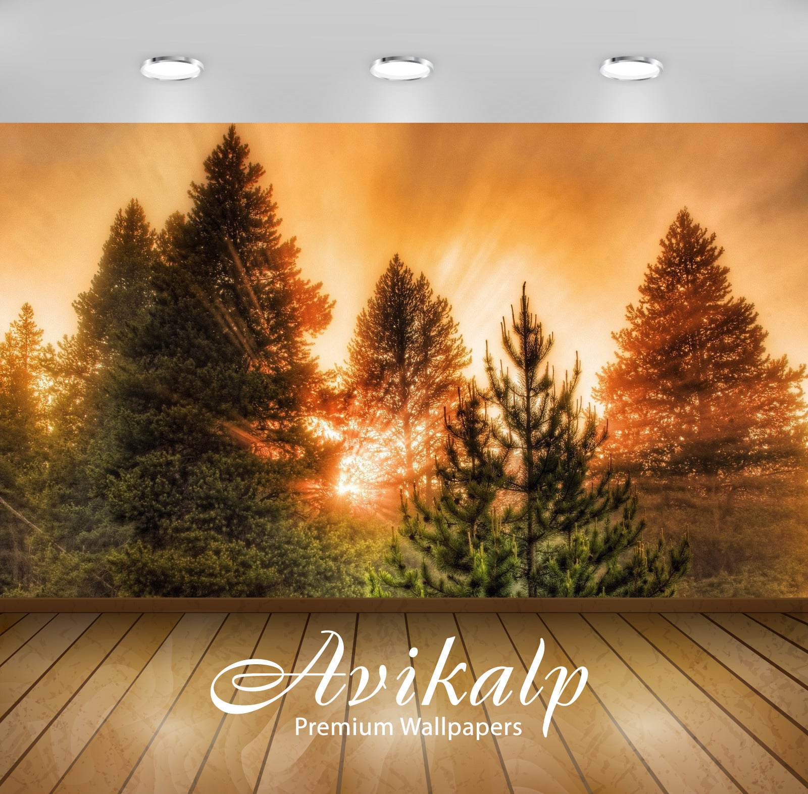 Avikalp Exclusive Awi6403 Sun Light Through Pine Trees Nature Full HD Wallpapers for Living room, Ha
