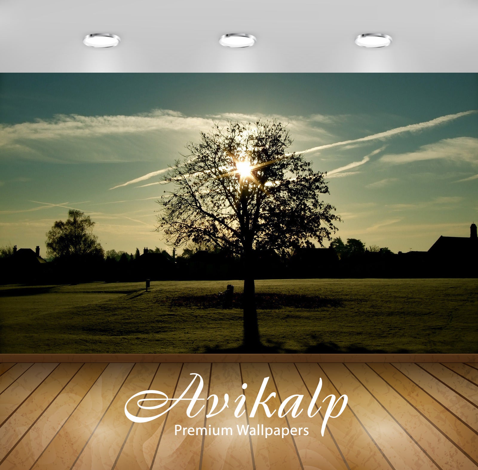 Avikalp Exclusive Awi6421 Sun Through The Trees Branches Nature Full HD Wallpapers for Living room,