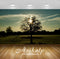 Avikalp Exclusive Awi6421 Sun Through The Trees Branches Nature Full HD Wallpapers for Living room,