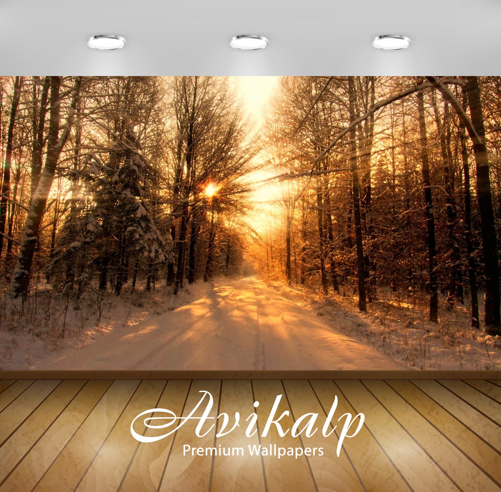 Avikalp Exclusive Awi6424 Sun Warming The Snowy Forest Nature Full HD Wallpapers for Living room, Ha