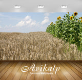 Avikalp Exclusive Awi6428 Sunflowers And Wheat Nature Full HD Wallpapers for Living room, Hall, Kids