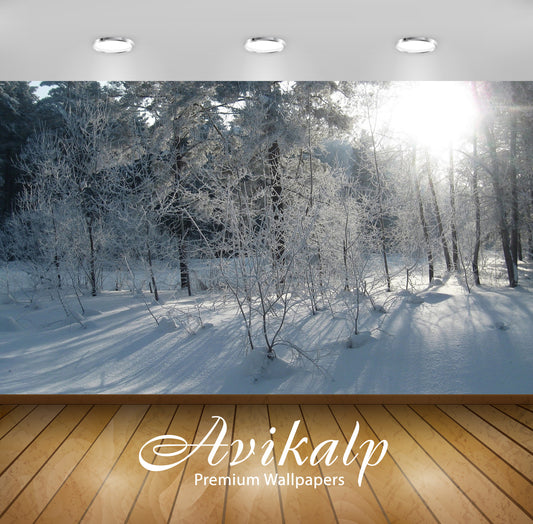 Avikalp Exclusive Awi6430 Sunlight Over The Snowy Forest Nature Full HD Wallpapers for Living room,